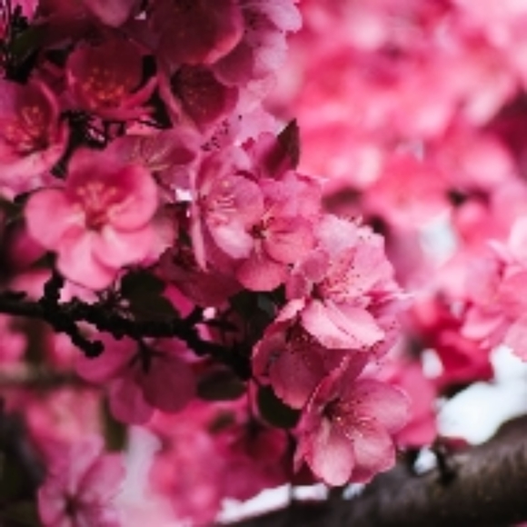 Meet your Posher, Andrey - Picture 1 of 1